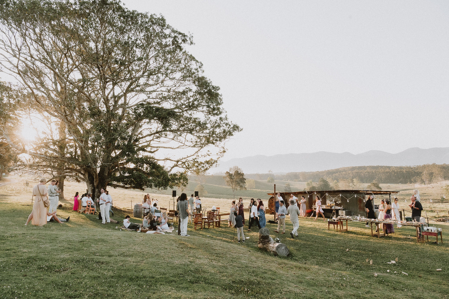 How to Plan a Farm Wedding in NSW at Levenvale Farm