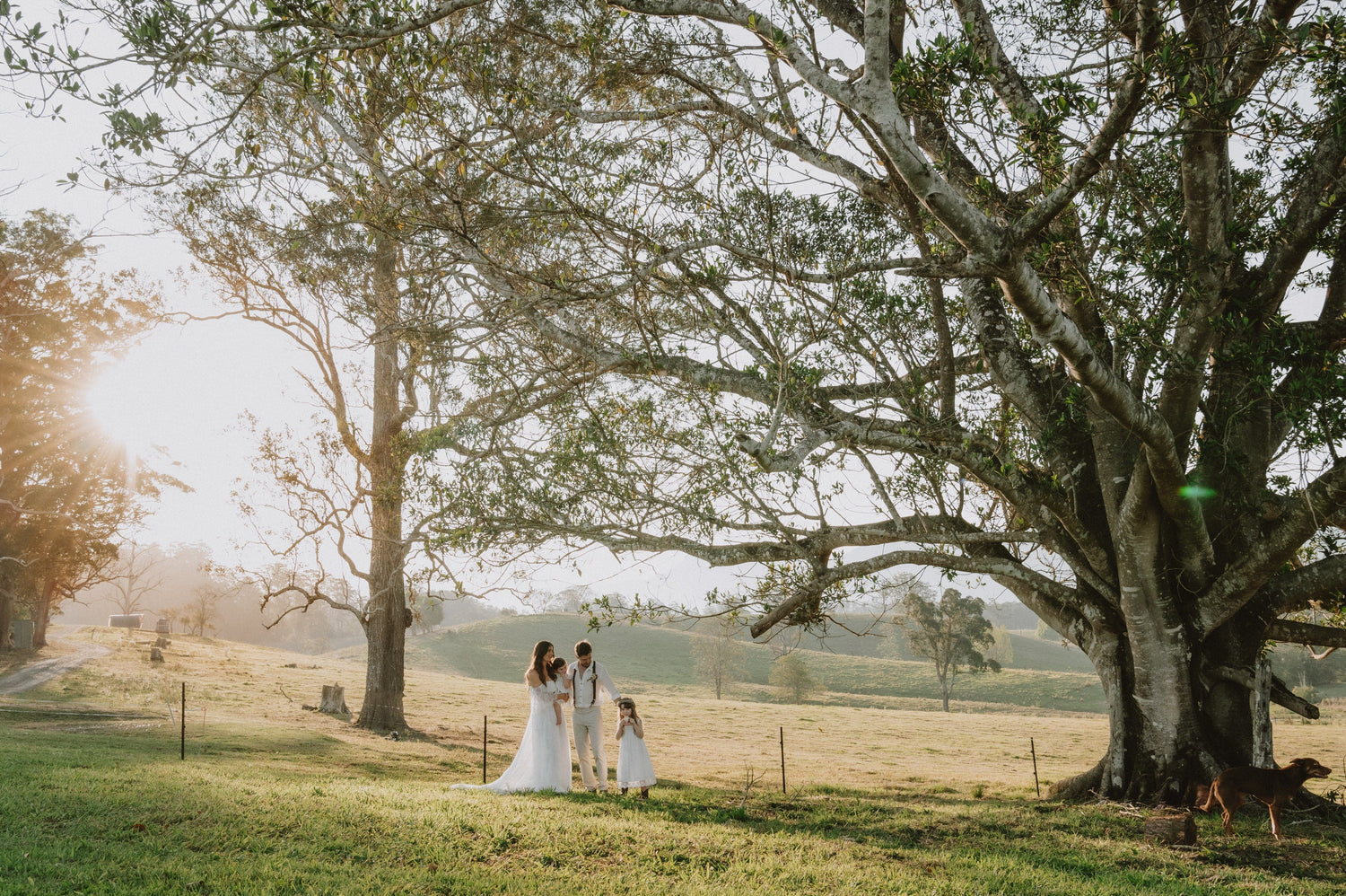 5 Reasons to Choose a Farm Wedding Venue in NSW