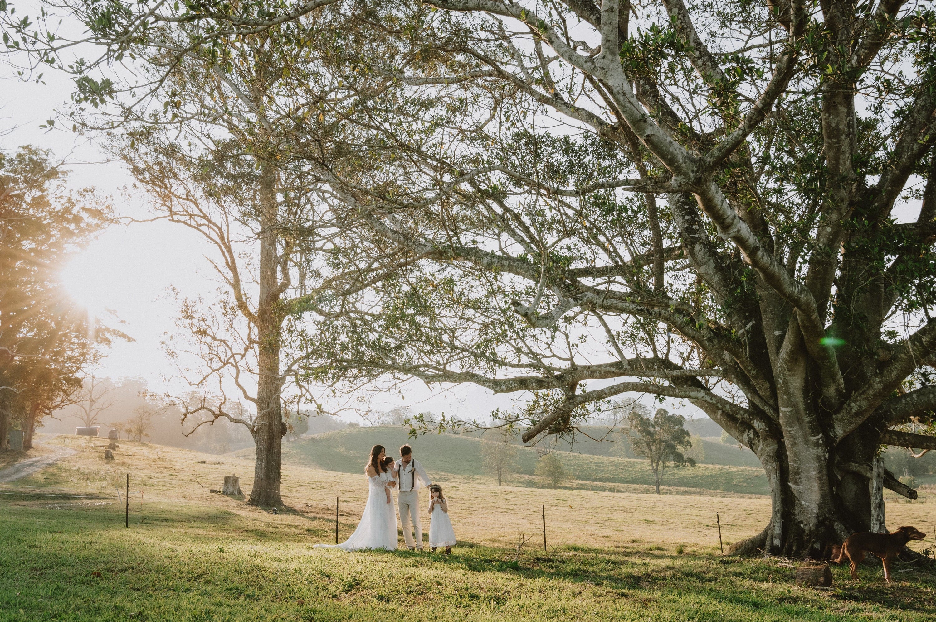 5 Reasons to Choose a Farm Wedding Venue in NSW