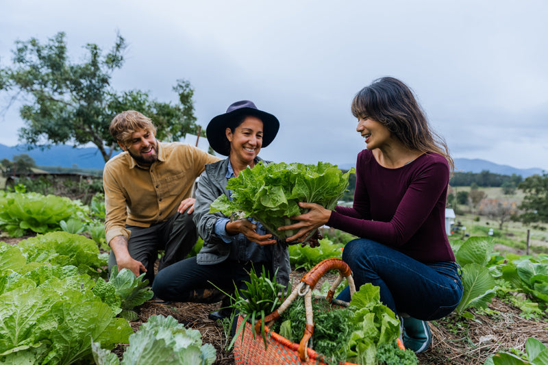 Family-friendly Levenvale Farm Overview
