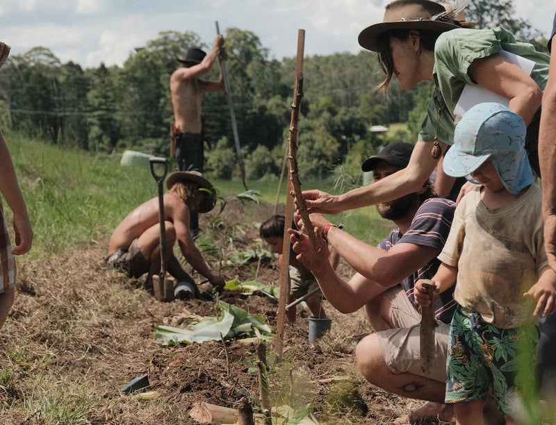Growing Food & Medicine Sovereignty