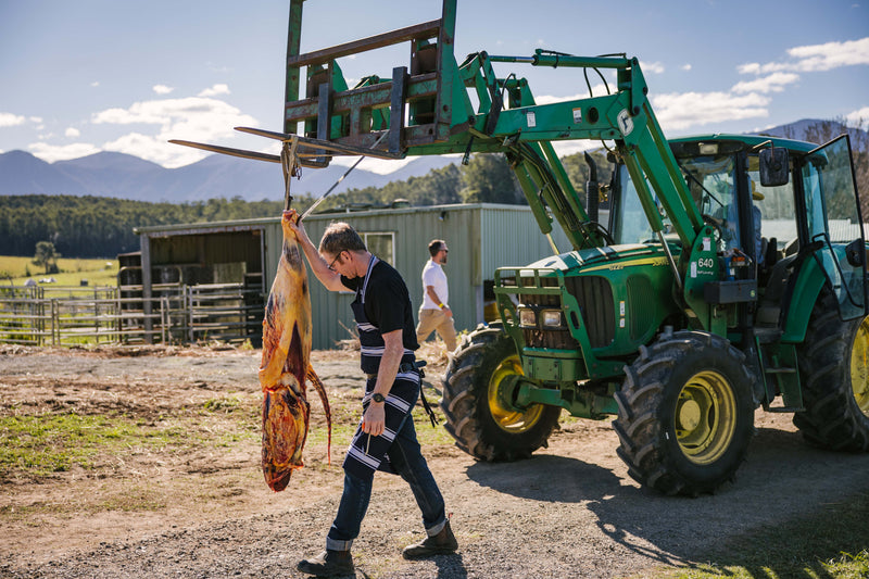Field Butchery