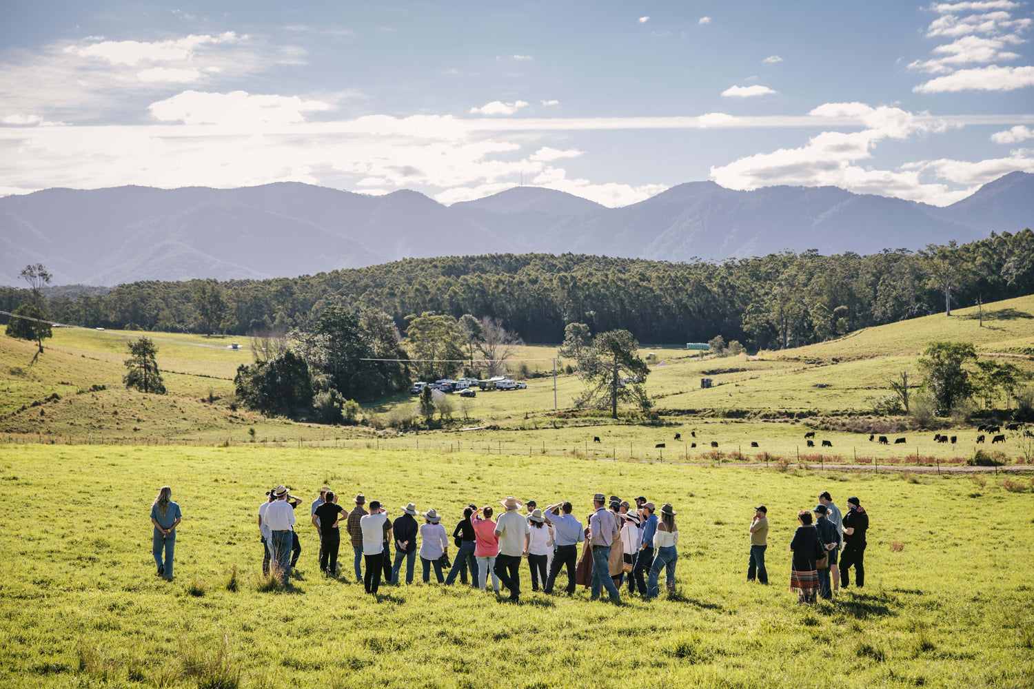 Private Events - Group Tours (10+ Guests)