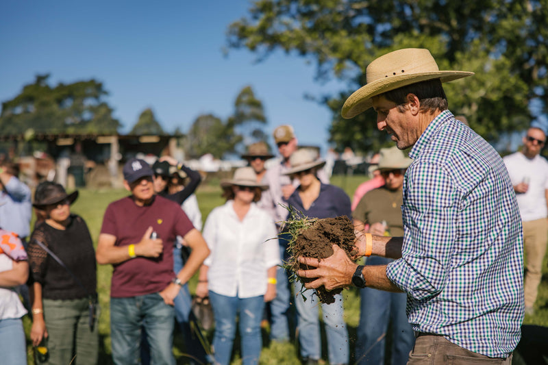 Farm Experiences - Plant a Tree