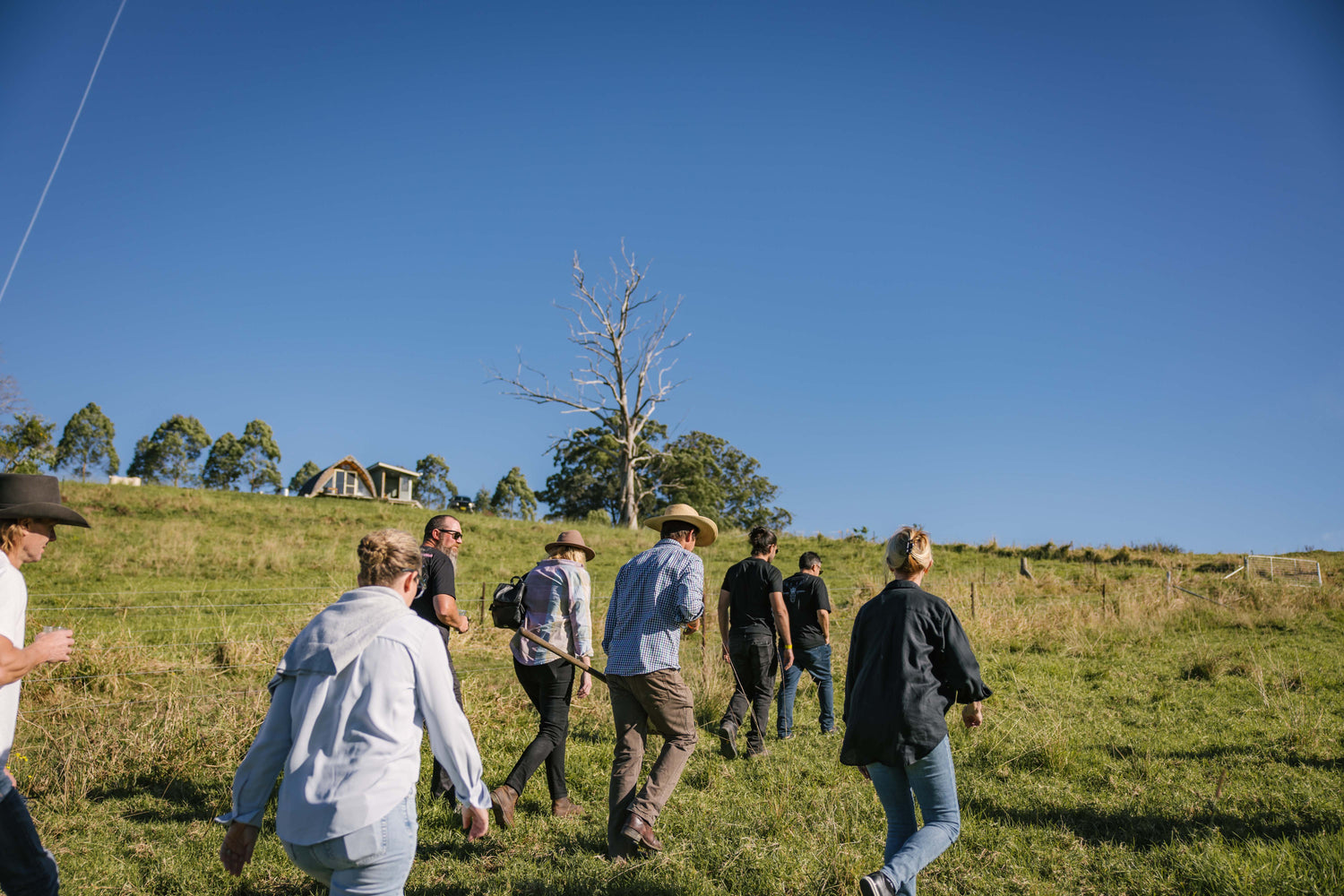 Permaculture Design Course