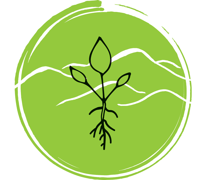 Experiences - LVF logo