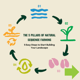 Natural Sequence Farming with Tarwyn Park Training-Levenvale Farm