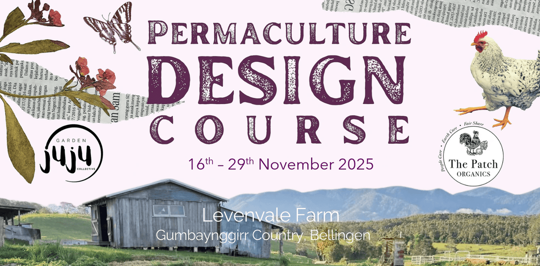 Permaculture Design Course Bellingen-Levenvale Farm