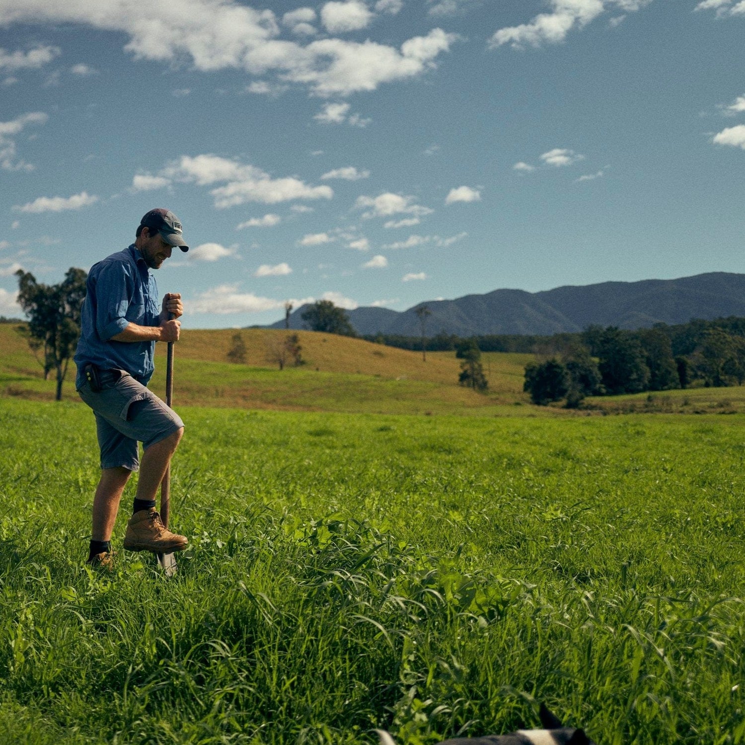 Regenerative Farm Yarn with farmer Sam at Levenvale Farm (1hr)-Levenvale Farm