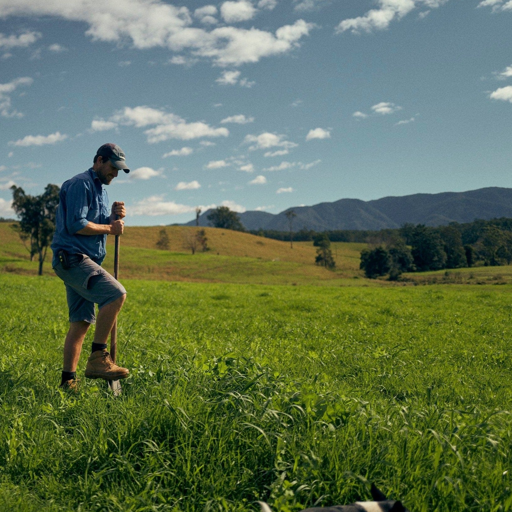 Regenerative Farm Yarn with farmer Sam at Levenvale Farm (1hr)-Levenvale Farm