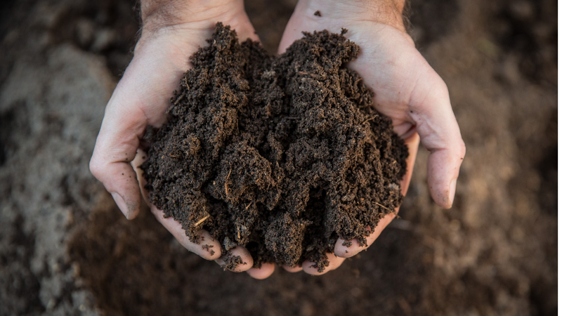 Closed Loop Composting