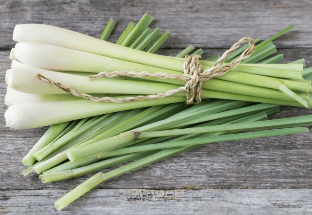 The Patch Organics Vegetable Organic Lemongrass - Vegetables